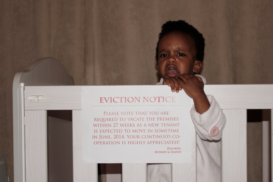 Eviction Notice 01